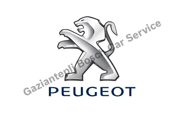 Bahçelievler Peugeot Servisi